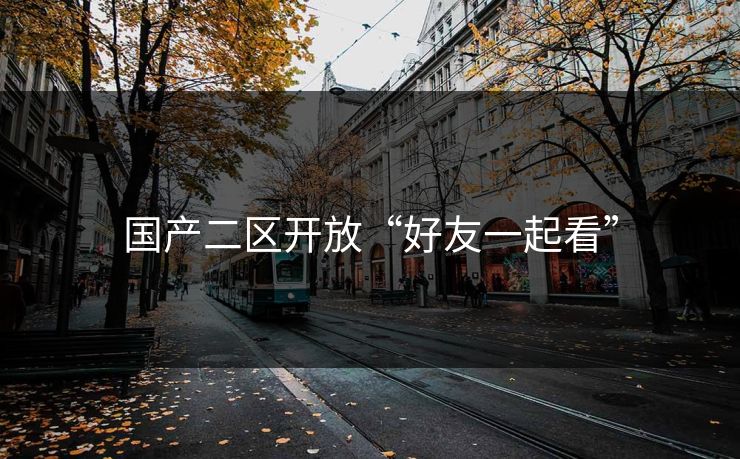 国产二区开放“好友一起看”