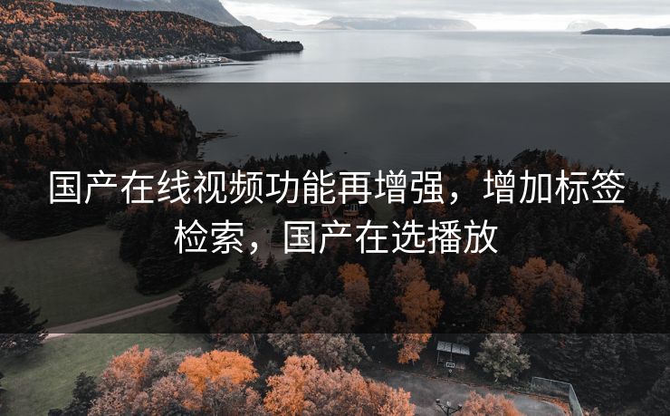 国产在线视频功能再增强，增加标签检索，国产在选播放