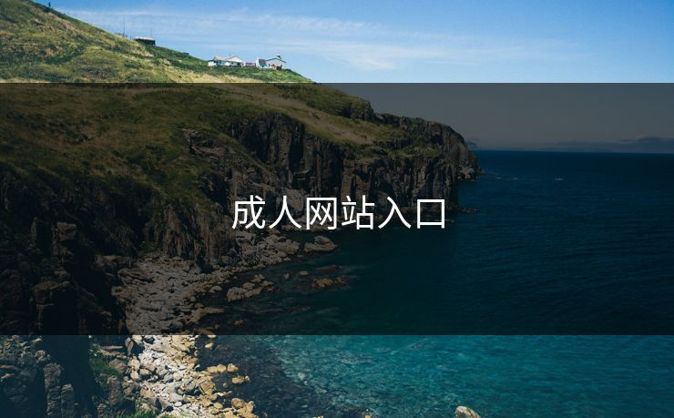 成人网站入口