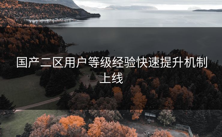 国产二区用户等级经验快速提升机制上线