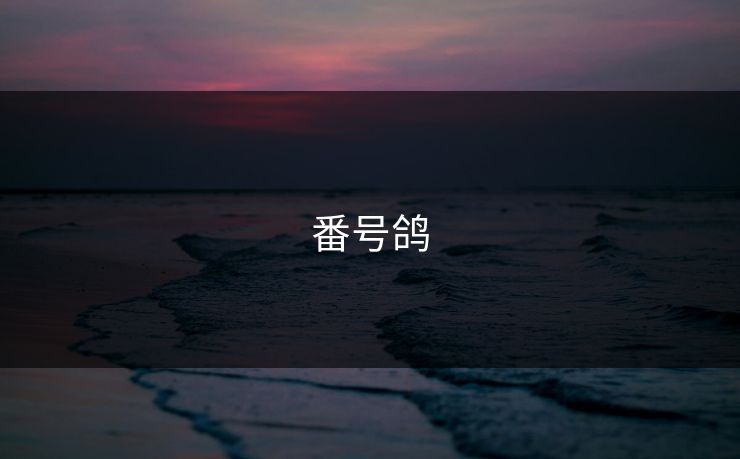 番号鸽